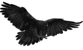 Schergen des schwarzen Falken